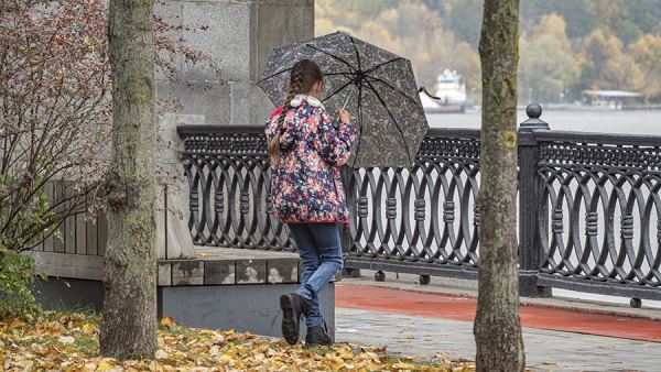 Синоптики спрогнозировали дождь и температуру до +5 градусов в Москве 30 ноября