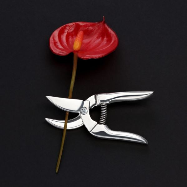 Дайджест: самые интересные новости недели