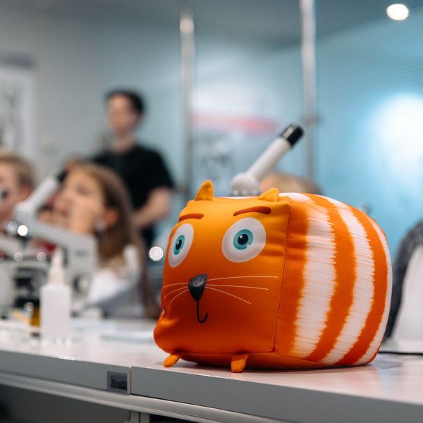 Кубокот приглашает детей провести зиму в Дарвиновском музее0