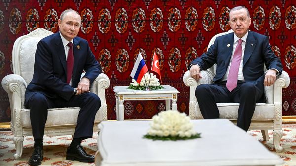 Эрдоган назвал переговоры с Путиным успешными