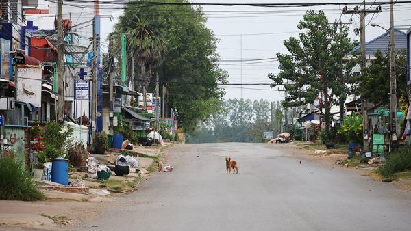В посольстве РФ в Пномпене выступили за дипломатическое решение конфликта Таиланда и Камбоджи
