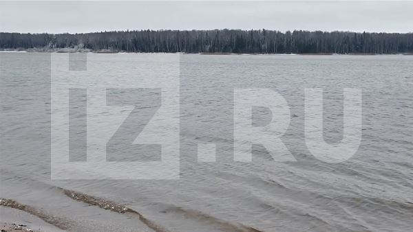 Обнаружено тело одного погибшего при крушении Ан-22 в Ивановской области