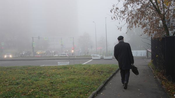 Синоптики спрогнозировали температуру до +2 градусов в Москве 2 декабря