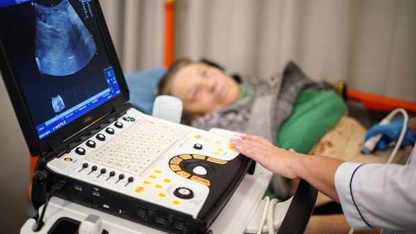 Российские ученые предложили новый подход к борьбе с фиброзом печени и рубцами